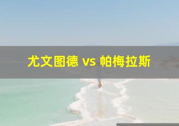 尤文图德 vs 帕梅拉斯